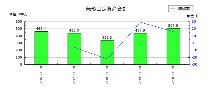 マルカの無形固定資産合計の推移