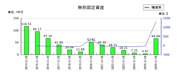 エスケイジャパンの無形固定資産の推移