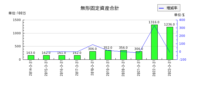 杉田エースの無形固定資産合計の推移