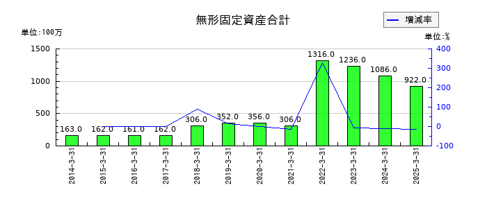 杉田エースの無形固定資産合計の推移