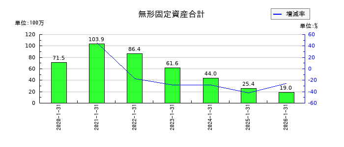 ダブルエーの無形固定資産合計の推移