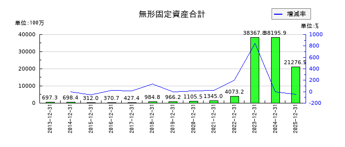 ナカニシの無形固定資産合計の推移