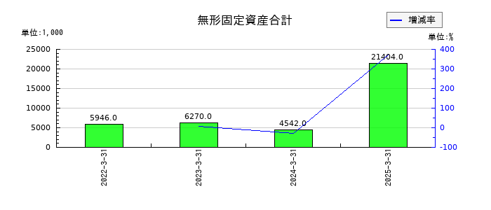 イーディーピー（EDP）の無形固定資産合計の推移