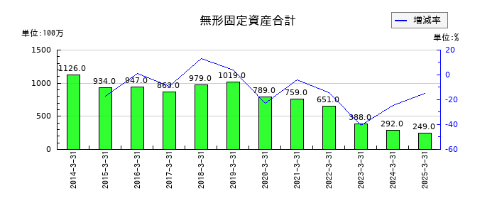ナカバヤシの無形固定資産合計の推移