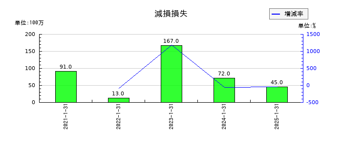 ナイガイの減損損失の推移