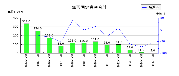 ナイガイの無形固定資産合計の推移