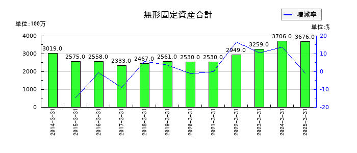 中央魚類の無形固定資産合計の推移
