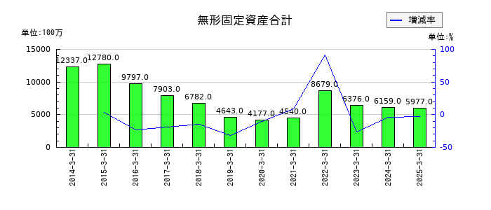 カメイの無形固定資産合計の推移