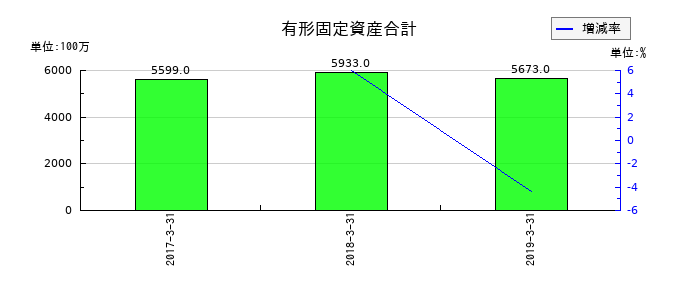 大都魚類の有形固定資産合計の推移