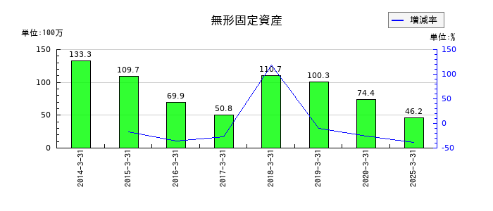 東海エレクトロニクスの無形固定資産の推移