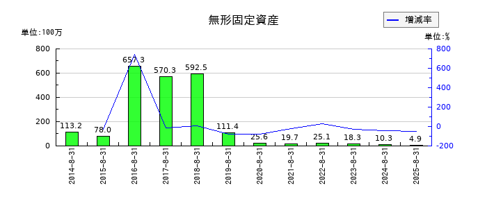 ヤマトインターナショナルの無形固定資産の推移