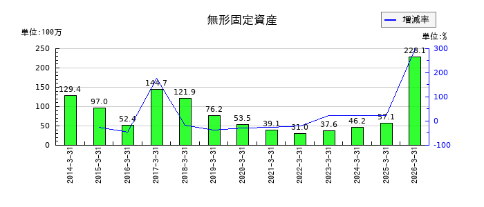 ナガホリの無形固定資産の推移