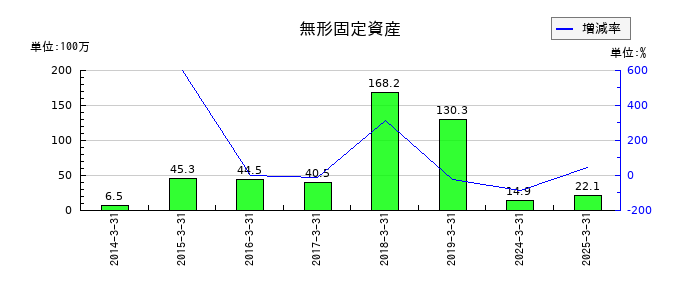 理経の無形固定資産の推移