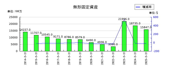 北洋銀行の無形固定資産の推移