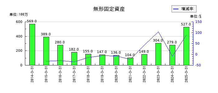 丸三証券の無形固定資産の推移