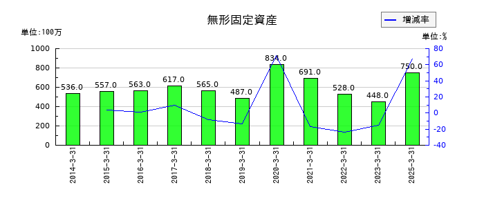 いちよし証券の無形固定資産の推移