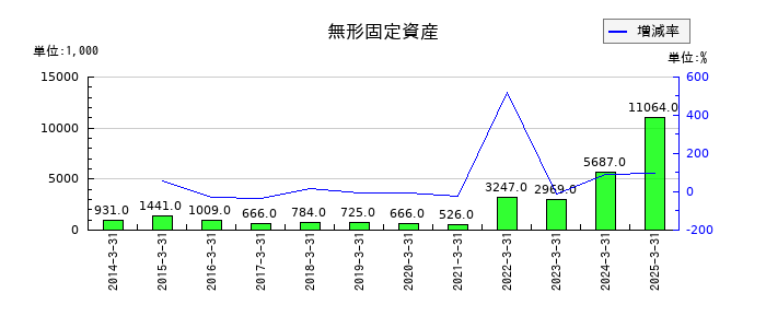 丸八証券の無形固定資産の推移