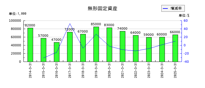 極東証券の無形固定資産の推移
