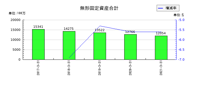 ダイビルの無形固定資産合計の推移