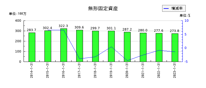 東京楽天地の無形固定資産の推移
