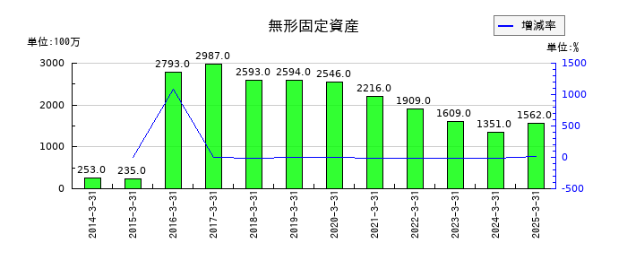 NSユナイテッド海運の無形固定資産の推移