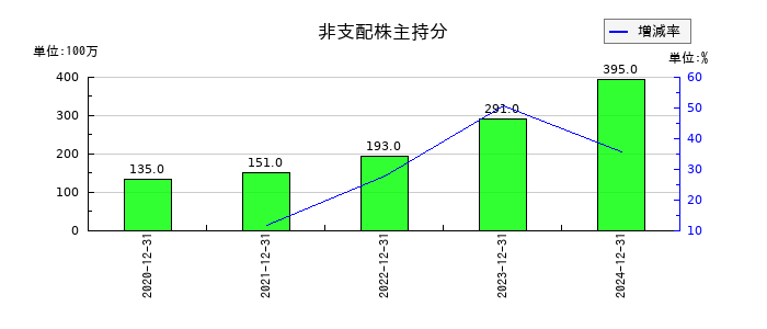 ビーイングホールディングスの非支配株主持分の推移