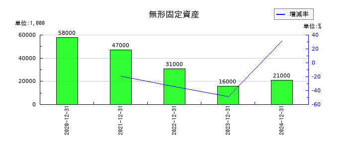 ビーイングホールディングスの無形固定資産の推移