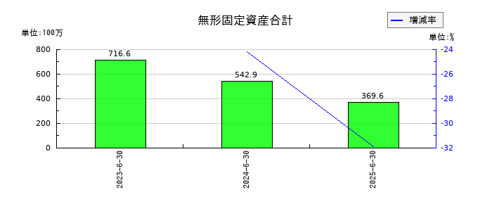 Ｗ　ＴＯＫＹＯの無形固定資産合計の推移