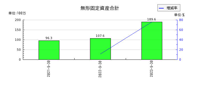 日本エコシステムの無形固定資産合計の推移