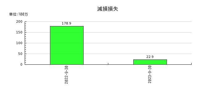 日本エコシステムの減損損失の推移