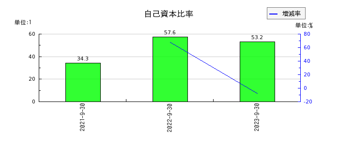 日本エコシステムの自己資本比率の推移
