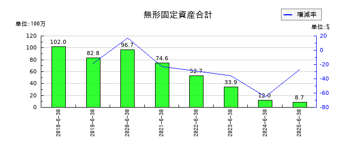 コーア商事ホールディングスの無形固定資産合計の推移