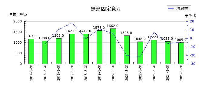 日本トランスシティの無形固定資産の推移