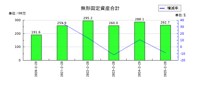 関通の無形固定資産合計の推移