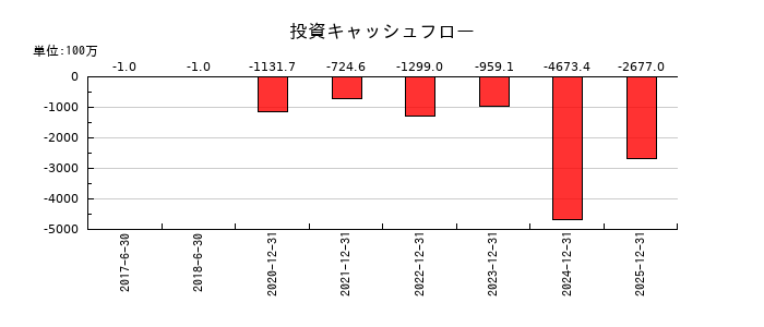 ＩＮＦＯＲＩＣＨ（インフォリッチ）の投資キャッシュフロー推移