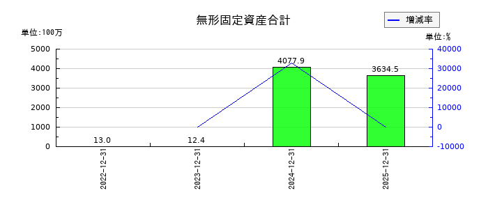 INFORICH(インフォリッチ)の無形固定資産合計の推移