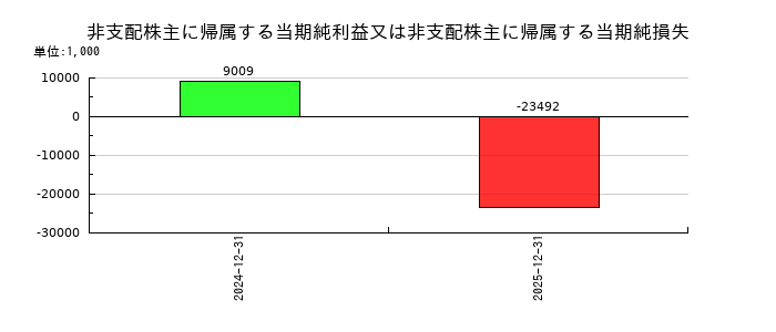 INFORICH(インフォリッチ)の非支配株主に帰属する当期純利益又は非支配株主に帰属する当期純損失の推移