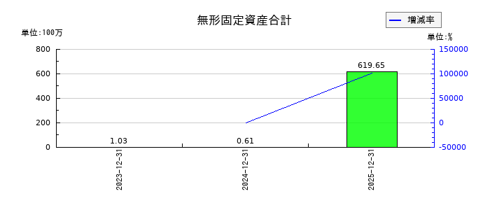 ワイヤレスゲートの無形固定資産合計の推移