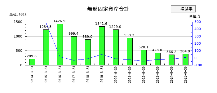 エヌジェイホールディングスの無形固定資産合計の推移