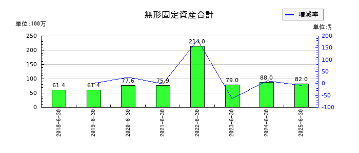 ファイバーゲートの無形固定資産合計の推移