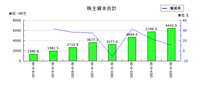 ファイバーゲートの株主資本合計の推移
