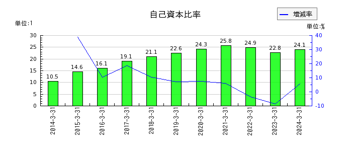 東京電力ホールディングスの自己資本比率の推移
