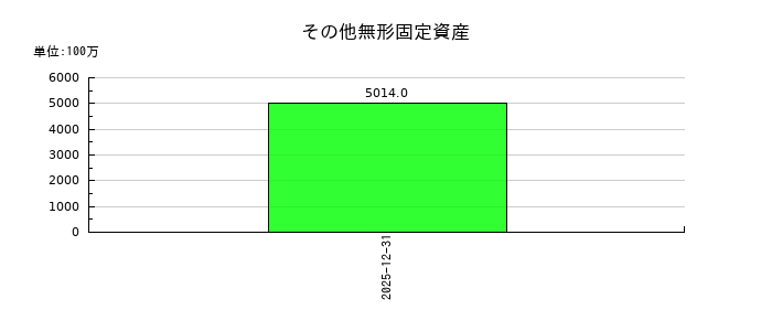 静岡ガスのその他無形固定資産の推移