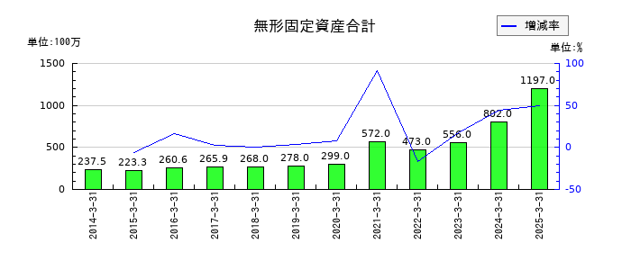 三協フロンテアの無形固定資産合計の推移