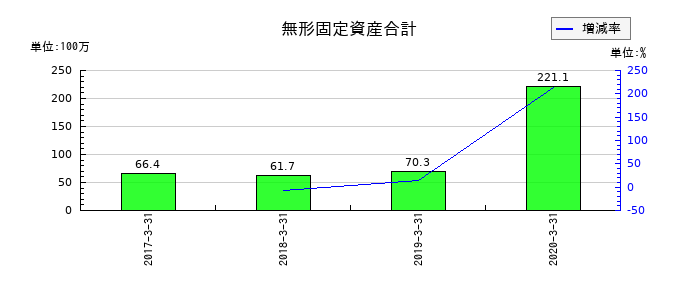 よみうりランドの無形固定資産合計の推移