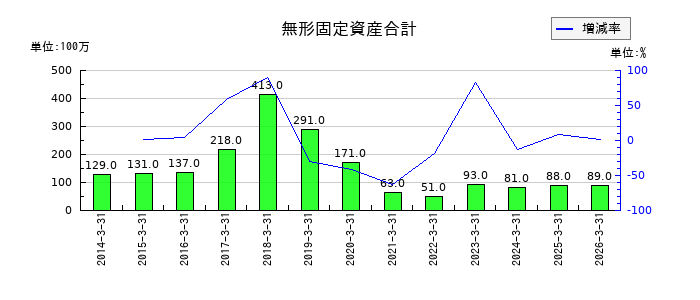 KSKの無形固定資産合計の推移