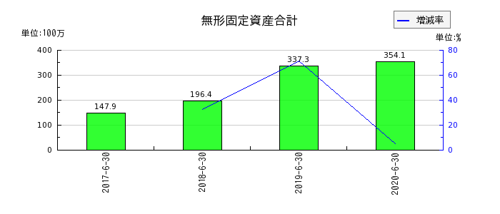 大日本コンサルタントの無形固定資産合計の推移