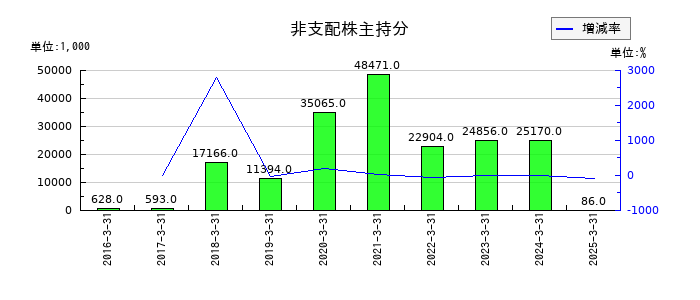 ストライダーズの非支配株主持分の推移