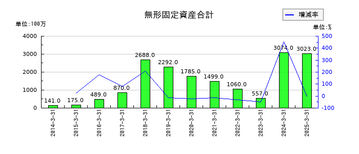日伝の無形固定資産合計の推移