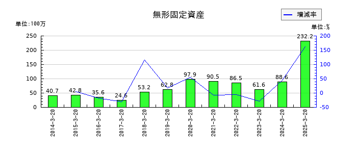 ハチバンの無形固定資産の推移